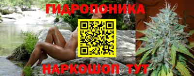 гидропоника Севастополь