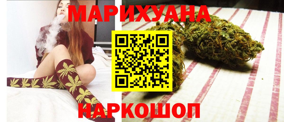 Конопля гибрид Отрадное